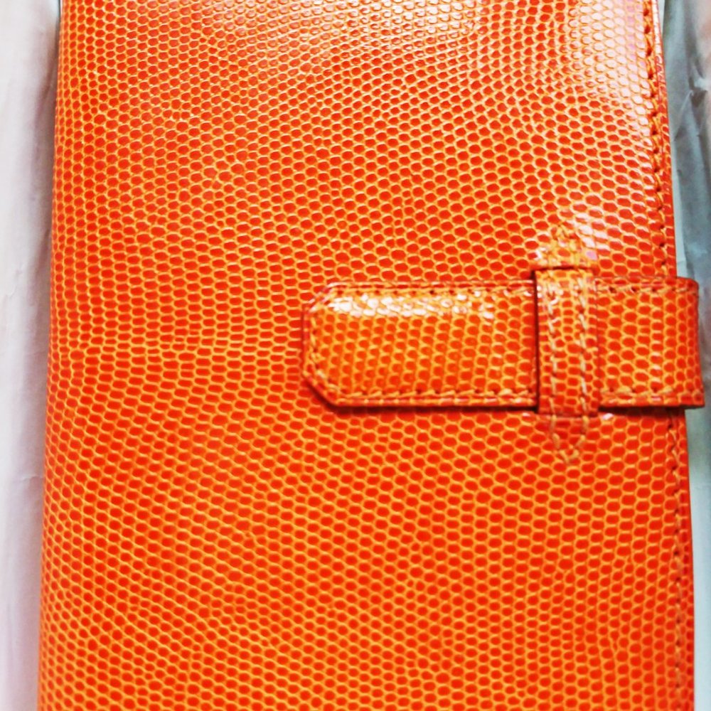 HERMES PARIS Orange & Stunning!